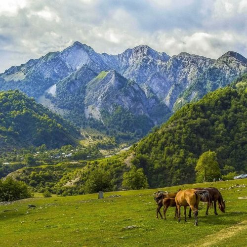 3.-Gabala-1-500x500 3.-Gabala-1-500x500