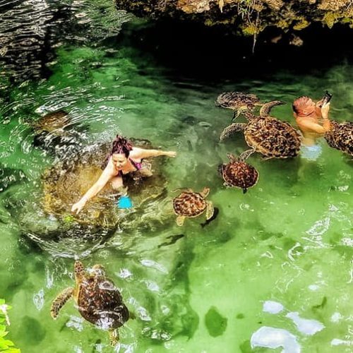 311570757_10159355074299862_3853873939912663971_n-1-500x500 311570757_10159355074299862_3853873939912663971_n-1-500x500