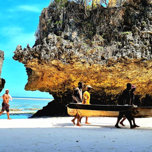 315581434_10159444897649862_3120335455897028731_n-500x500 315581434_10159444897649862_3120335455897028731_n-500x500