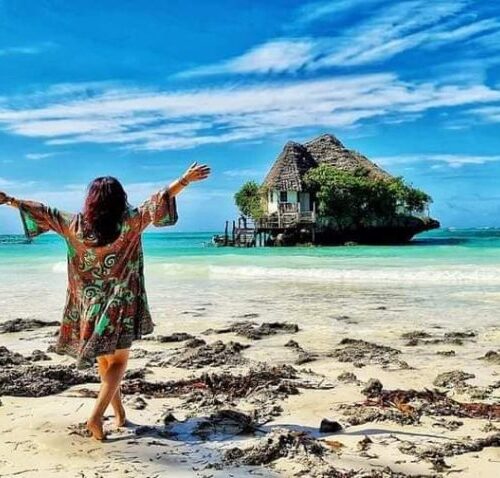 333226742_528160219438301_5523715849563874659_n-1024x478 333226742_528160219438301_5523715849563874659_n-1024x478