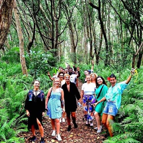 333267822_1290841934830141_5098015705123390727_n (2) 333267822_1290841934830141_5098015705123390727_n (2)