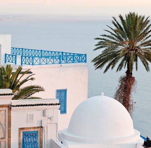 381314.ori_-500x492 381314.ori_-500x492