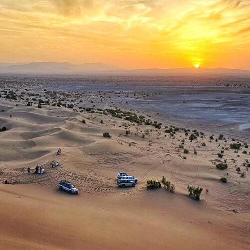 394758474_10160114267289862_7987675196647675559_n-500x500 394758474_10160114267289862_7987675196647675559_n-500x500