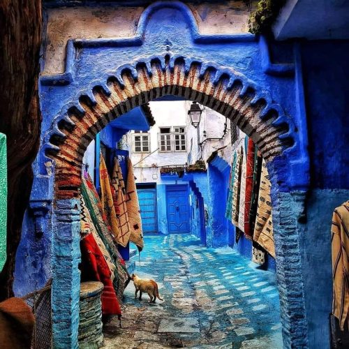 408582915_6840132179432988_6005731190653006067_n-500x500 408582915_6840132179432988_6005731190653006067_n-500x500