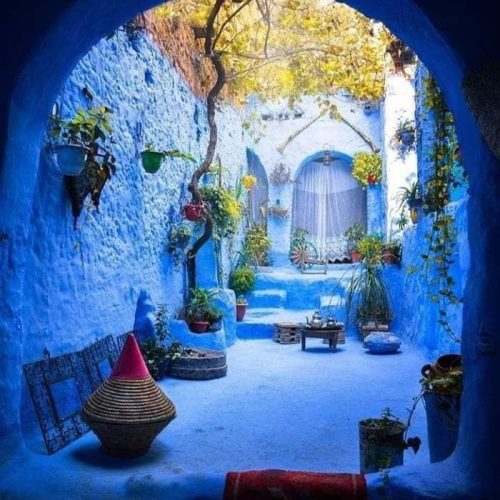 408912510_6840131582766381_5573637799040749731_n-500x500 408912510_6840131582766381_5573637799040749731_n-500x500