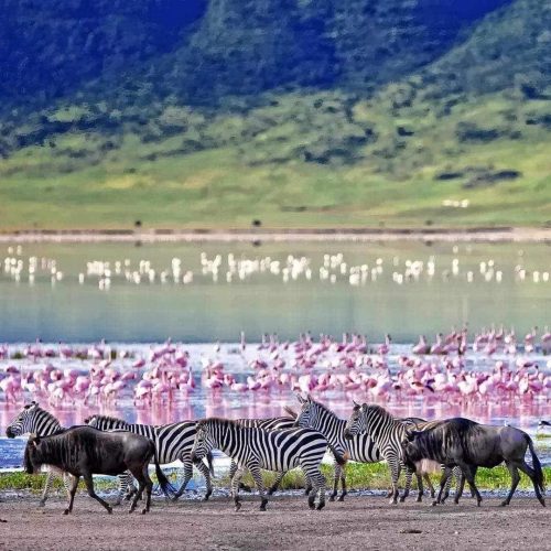 412830746_6899789003467305_5536402112249564393_n-500x500 412830746_6899789003467305_5536402112249564393_n-500x500