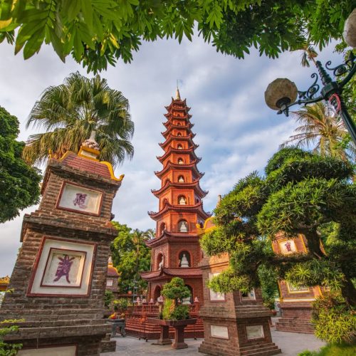 44919d61d451f90795d9bbfea433a470-500x500 44919d61d451f90795d9bbfea433a470-500x500