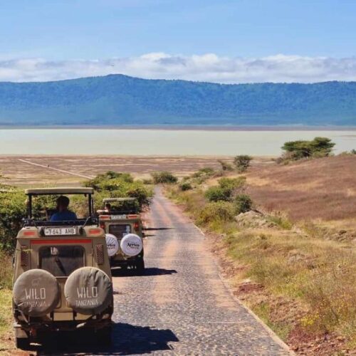 458086176_800477895332339_2317646019806110738_n-1024x558 458086176_800477895332339_2317646019806110738_n-1024x558