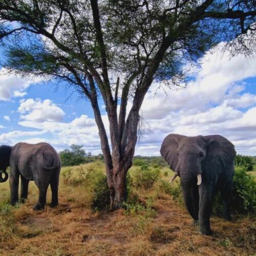 458200271_1991274904677421_2624051637023085595_n-1024x576 458200271_1991274904677421_2624051637023085595_n-1024x576