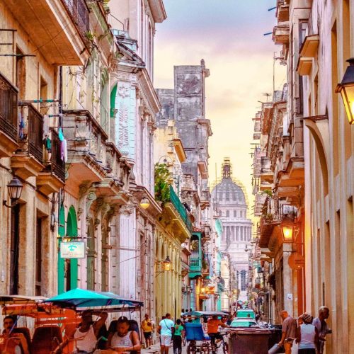 475863265_3800747656738351_3907784038455261738_n-500x500 475863265_3800747656738351_3907784038455261738_n-500x500