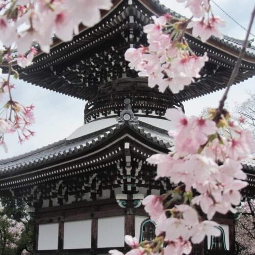 491455498_9536211719825007_6060281530559759299_n 491455498_9536211719825007_6060281530559759299_n