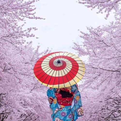 491998767_9535379039908275_5935953798277116491_n-1024x656 491998767_9535379039908275_5935953798277116491_n-1024x656