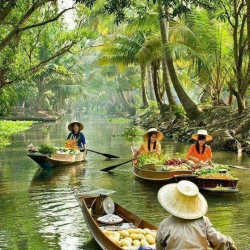 4ddbf10f-c5e7-42cb-92fc-04c3a5869bb6-500x500 4ddbf10f-c5e7-42cb-92fc-04c3a5869bb6-500x500