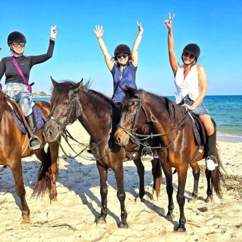 511215856_10091756514270522_7791183171174248840_n 511215856_10091756514270522_7791183171174248840_n