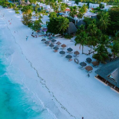 590035808 (1) 590035808 (1)