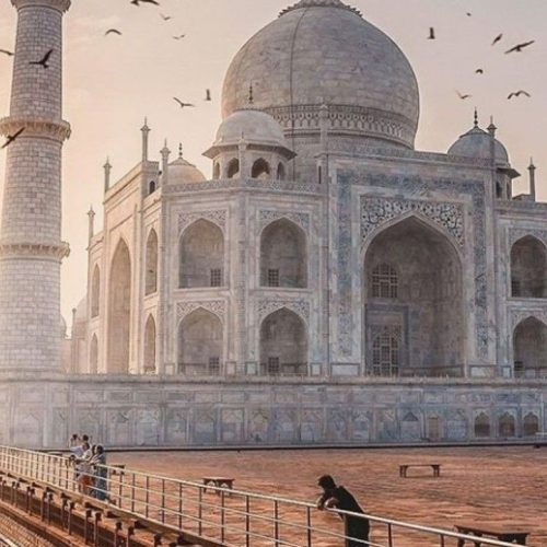 5a1490d5622ad9afbcc1ad8b03c4b77b-500x500 5a1490d5622ad9afbcc1ad8b03c4b77b-500x500