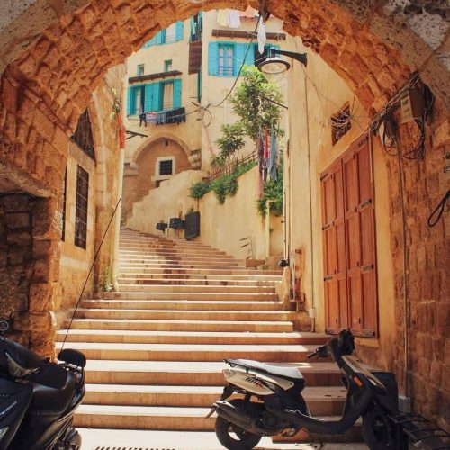 63d4491b14ceb384fff9c700e1c761b4-500x500 63d4491b14ceb384fff9c700e1c761b4-500x500