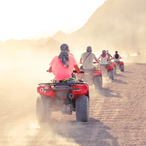 6482a683-df23-4335-97cd-074d3b82bf81-500x500 6482a683-df23-4335-97cd-074d3b82bf81-500x500