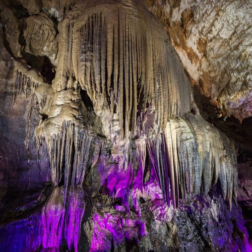 69257fe7b3032945b37e374f46a1630a-500x500 69257fe7b3032945b37e374f46a1630a-500x500