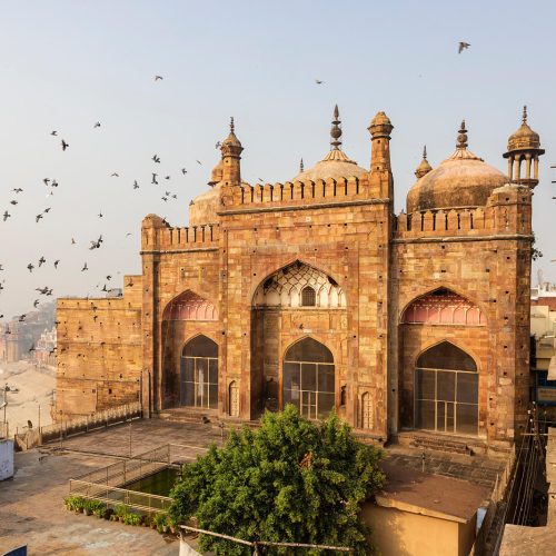 74-1-500x500 74-1-500x500