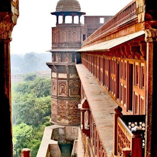 79462c4d56d4e993c0173d947c640a69-500x500 79462c4d56d4e993c0173d947c640a69-500x500