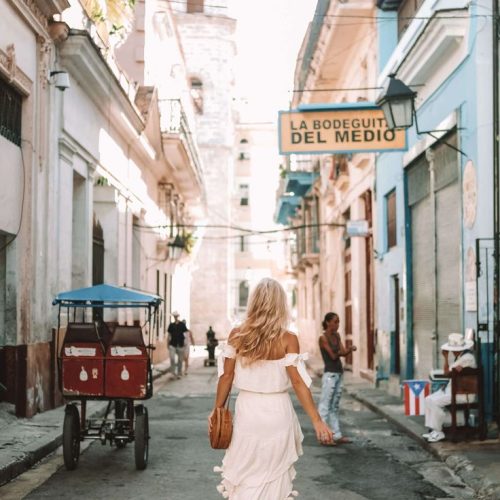 7ae9e9aad6247378540220d103d9df37-500x500 7ae9e9aad6247378540220d103d9df37-500x500