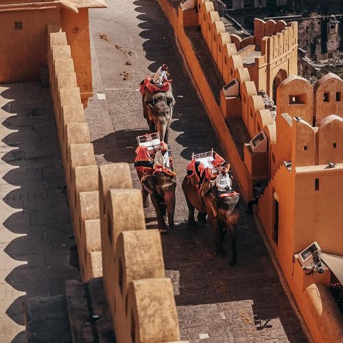 9a858c99e87822a5ace2018ce77d86ba-500x500 9a858c99e87822a5ace2018ce77d86ba-500x500