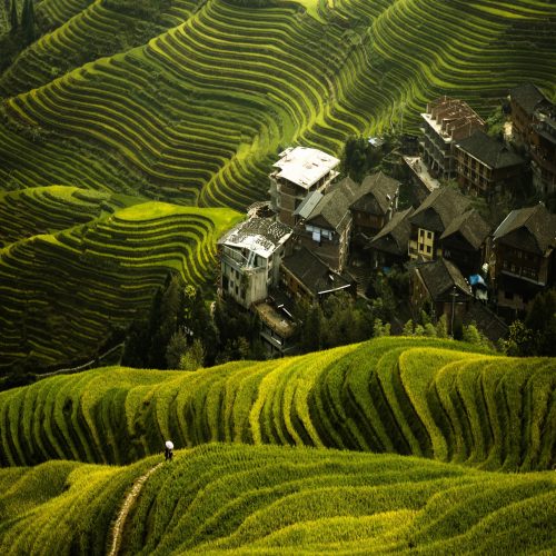 Beautiful-Longji-Rice-Terraces-500x500 Beautiful-Longji-Rice-Terraces-500x500