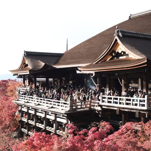 C2D7449E-CAB9-4C00-AC11-C79AF9AB2701-376-00000013183FDA40-500x500 C2D7449E-CAB9-4C00-AC11-C79AF9AB2701-376-00000013183FDA40-500x500