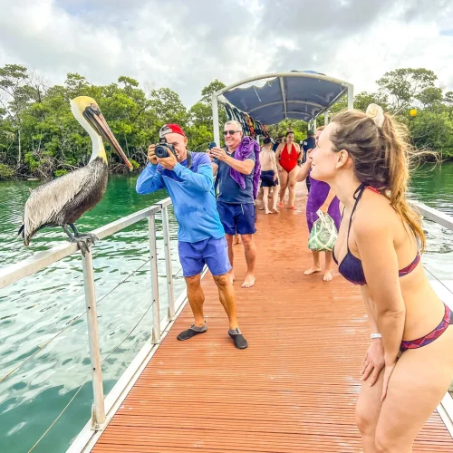 CayoBlanco-7-500x500 CayoBlanco-7-500x500