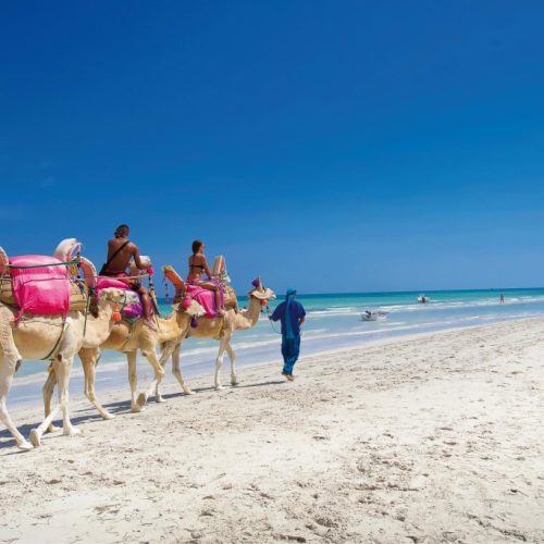 Djerba-Island-500x500 Djerba-Island-500x500