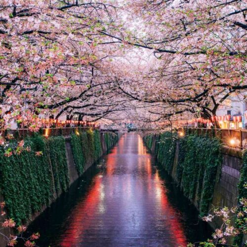 GettyImages-560482635-0d994ceb89924230adab7abc80c5fa4f-1024x683 (1) GettyImages-560482635-0d994ceb89924230adab7abc80c5fa4f-1024x683 (1)