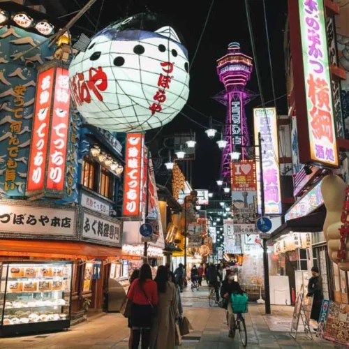 IMG_0259-1200x900-1-500x500 IMG_0259-1200x900-1-500x500