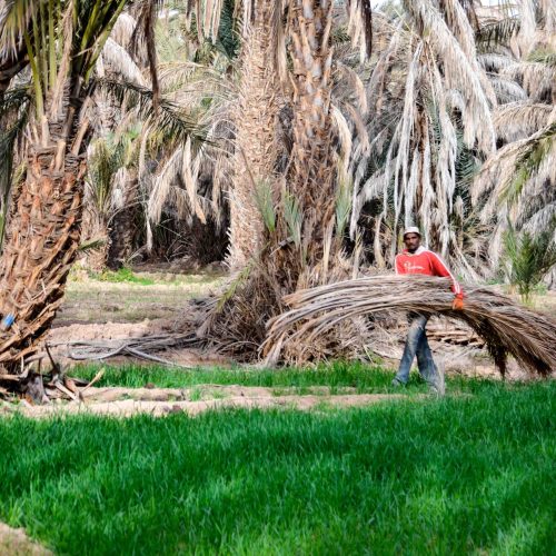 Leben-pur-250227-16-15-011-scaled-1-500x500 Leben-pur-250227-16-15-011-scaled-1-500x500