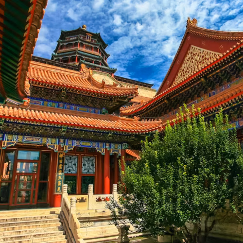 SyKsEPQfjvEbweAV6vSX6rJT-500x500 SyKsEPQfjvEbweAV6vSX6rJT-500x500