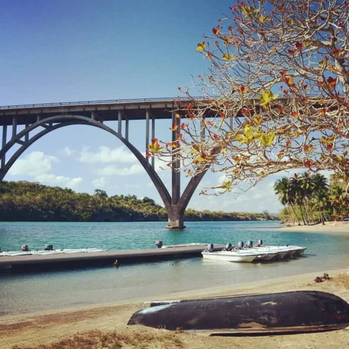 boat-ride-in-rio-canimar-tour-939-scaled-500x500 boat-ride-in-rio-canimar-tour-939-scaled-500x500