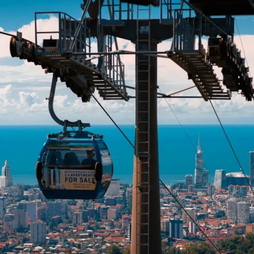 c009a7bd97d44e7b91c72d6f7ffa4bba-500x500 c009a7bd97d44e7b91c72d6f7ffa4bba-500x500