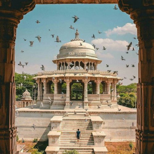 c122a049480f2f4d6ce86e2788695d80-500x500 c122a049480f2f4d6ce86e2788695d80-500x500