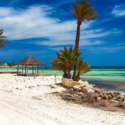 djerba-500x500 djerba-500x500