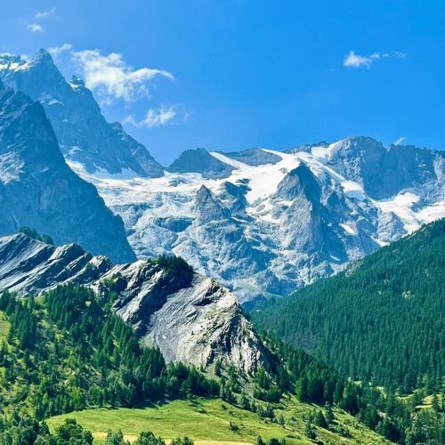 f2f558f6-1db3-40cf-bc24-781ce41a293d-500x500 f2f558f6-1db3-40cf-bc24-781ce41a293d-500x500