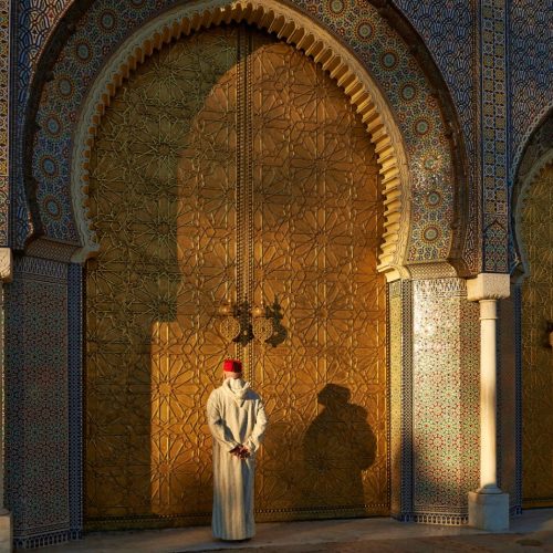 fes1-500x500 fes1-500x500