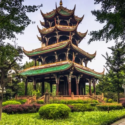 gg-500x500 gg-500x500