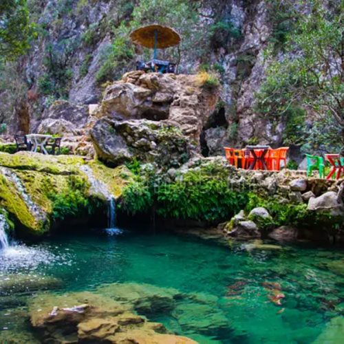 images-11-1-500x500 images-11-1-500x500