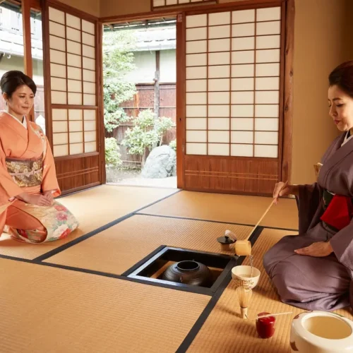 it1533_016_tnmvcy-500x500 it1533_016_tnmvcy-500x500