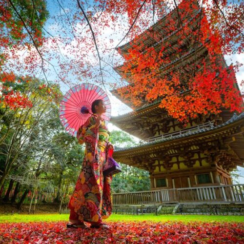 japan-main-1024x559 japan-main-1024x559