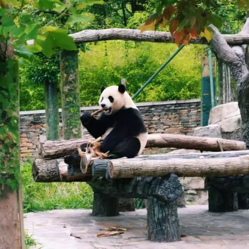 jpg-500x500 jpg-500x500