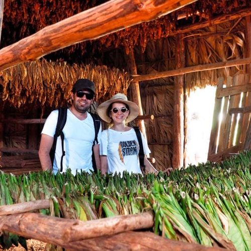 kuba-vinales-mola-yeri-500x500 kuba-vinales-mola-yeri-500x500