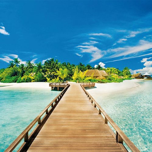 phu-quoc4-500x500 phu-quoc4-500x500