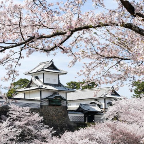 pixta_77044107_M-1024x640-1-500x500 pixta_77044107_M-1024x640-1-500x500