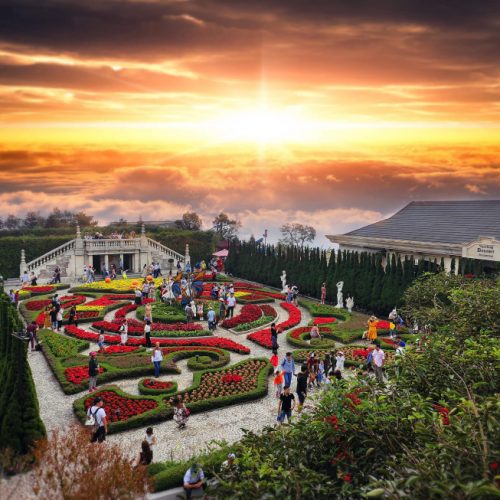 shutterstock_1535850404-500x500 shutterstock_1535850404-500x500